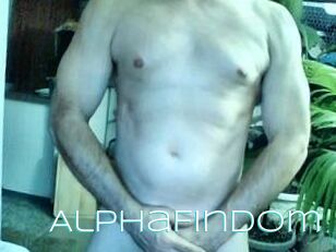 AlphaFinDom
