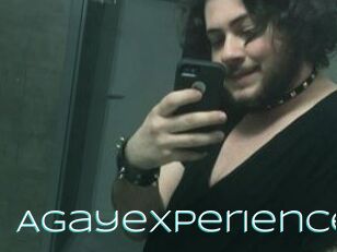 Agayexperience