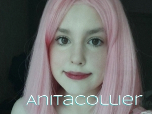 Anitacollier