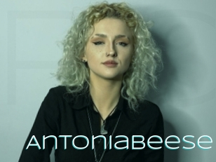 Antoniabeese