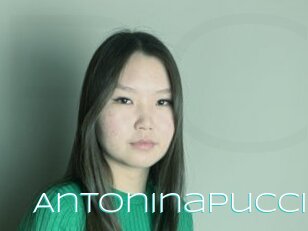 Antoninapucci