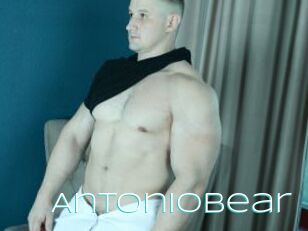 Antoniobear