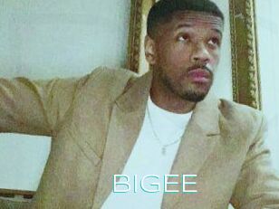 BigEE