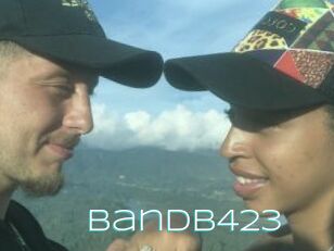 Bandb423