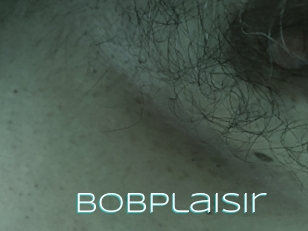 Bobplaisir
