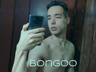 Bongoo