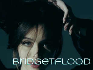 Bridgetflood