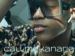 Callmekanaries