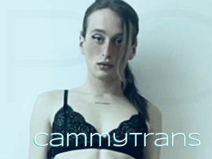 Cammytrans