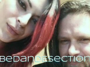 DeziDisturbedandEsection
