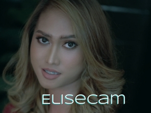 Elisecam