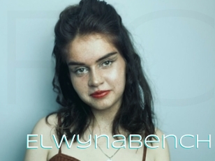 Elwynabench