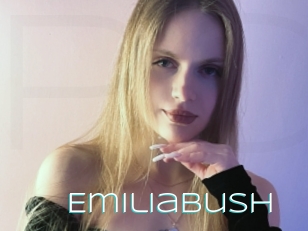 Emiliabush