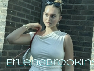 Erlenebrookins