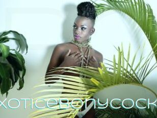 Exoticebonycock