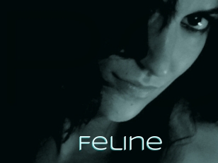 Feline