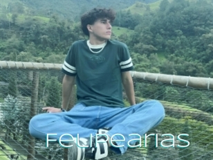 Felipearias