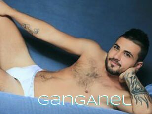 GangAnel