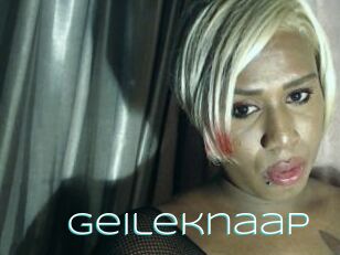 Geileknaap