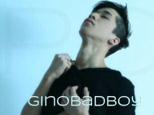 Ginobadboy
