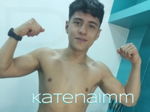Katenaimm
