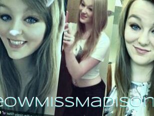 MeowMissMadison
