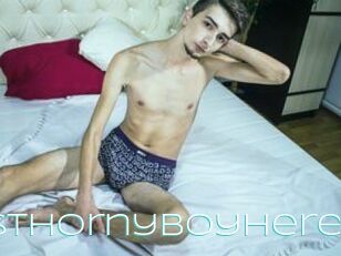 MostHornyBoyHere