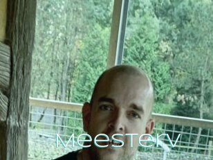 Meesterv