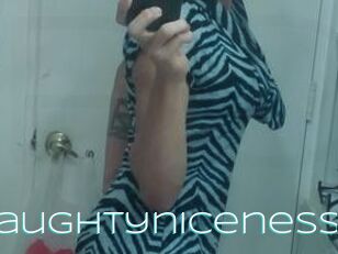 Naughtyniceness
