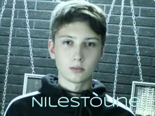 NileStoune