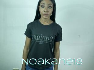 NoaKane18