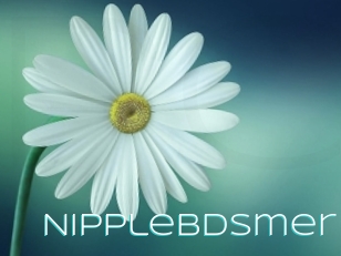 Nipplebdsmer