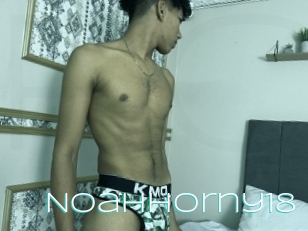 Noahhorny18