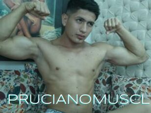 PRUCIANOMUSCLE