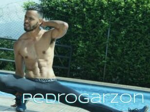 Pedrogarzon