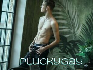 Pluckygay