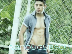 RandyGybson