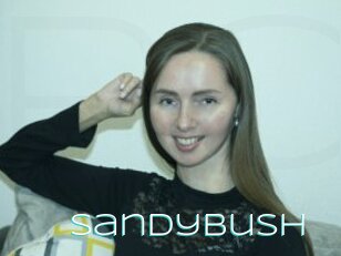 Sandybush