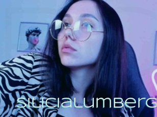 Silicialumberg