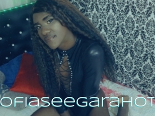 Sofiaseegarahot