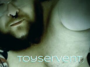 Toyservent
