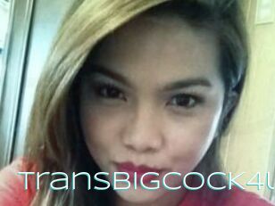 TransBigCOCK4u