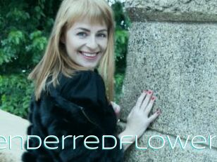 Tenderredflower