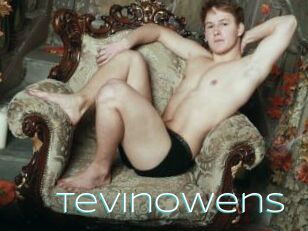 Tevinowens