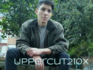Uppercut210x