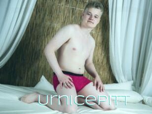 Urnicepitt