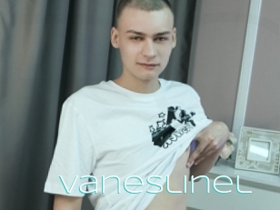 Vaneslinel