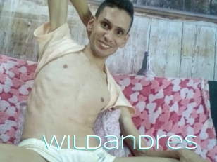Wildandres