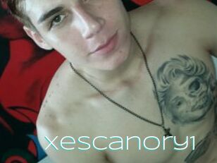 Xescanory1