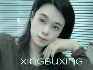 Xingbuxing